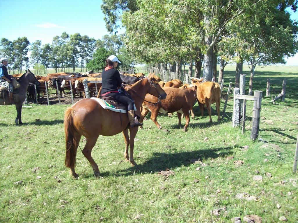 Estancia Turistica La Amorosa Трінідад Номер фото